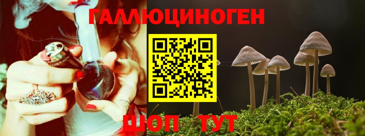 Псилоцибиновые грибы GOLDEN TEACHER Гай